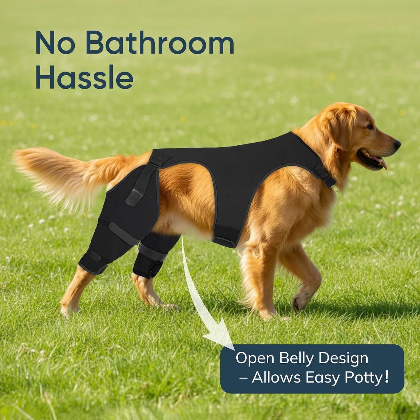 Supet Dog Rear Leg Sleeve to Stop Licking- Potty-Friendly for TPLO ACL Surgery Leg Injuries, Chew Resistant Washable Recovery Sleeve, for Male and Female Pets(Black,2XL)