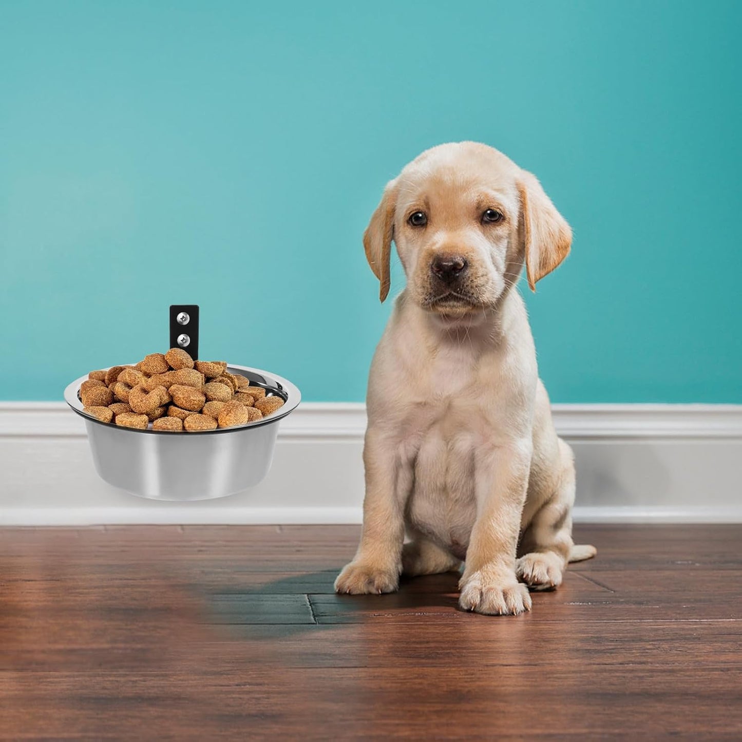 Raised Dog Bowl and Wall-Mounted Pet Feeding Dish, Stainless Steel Elevated Food and Water Bowl, 8-inch, Suitable for Large Dogs and Convenient Home Use