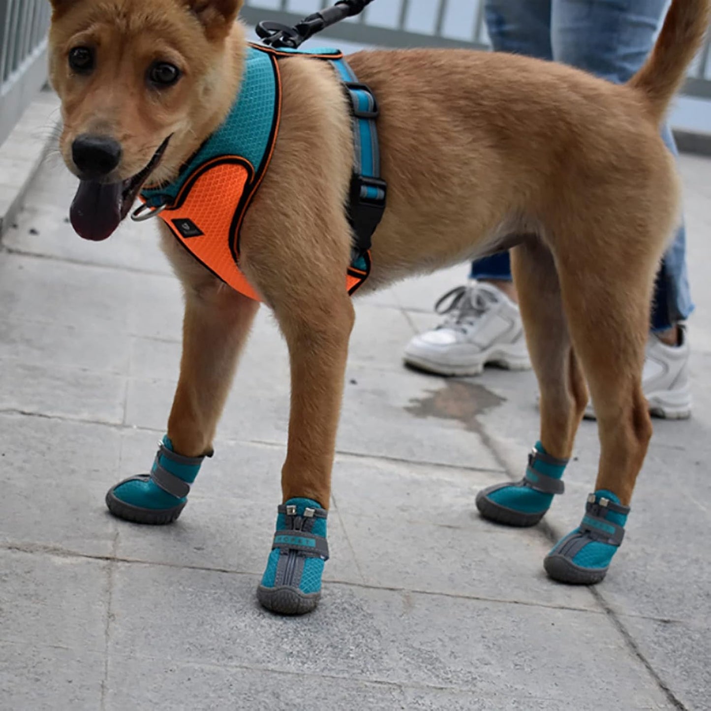 Pet Dog Shoes Mountain Wearable PVC Soles Dog Boots with Non-Slip Rubber Soles Reflective Straps for Walking Running