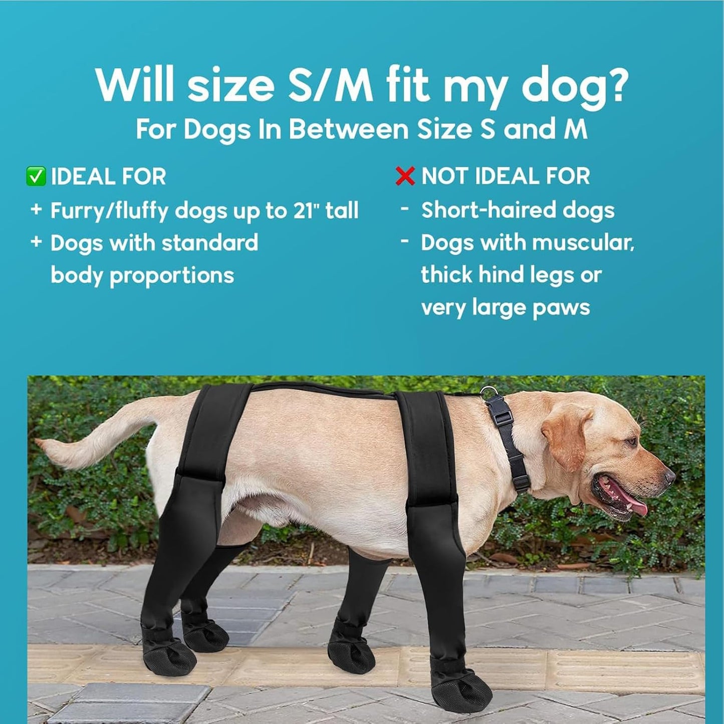Dog Boot Leggings, Soft Waterproof Puppy Boots, Pet Clothing, Adjustable Booties for Dogs Paws, Dog Outdoor Winter Shoes for Small Medium Dogs