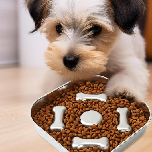 Slow Eating Dog Bowl | Non-Slip Stainless Steel | Large Slow Feeder Dog Dishware | for Small Medium Large All Breeds Wet Dry Food Indoor Home Outdoor