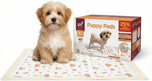 WUFHOUSE Potty Pads for Dogs - Extra Large with 5-Layer Absorbency, Leak Proof Odor Control Disposable Pads for Dogs & Multi-Pet Households - 35” x 24”, Pack of 40