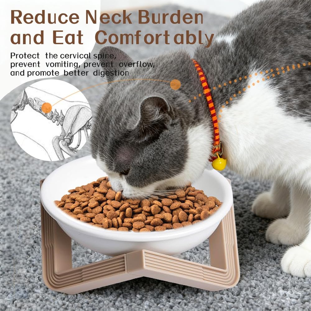 Elevated Cat Bowls for Food and Water, 2Pcs Raised Cat Food Bowls with Stand, 15° Slanted Ceramics Pet Dishes, Anti-Vomit Neck Protection Dog Water Bowls for Cats, Puppies