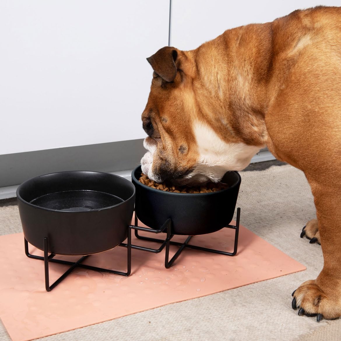 Waggo Simple Solid Ceramic Dog Bowl and Stand - Double Pet Feeder, Small, Black