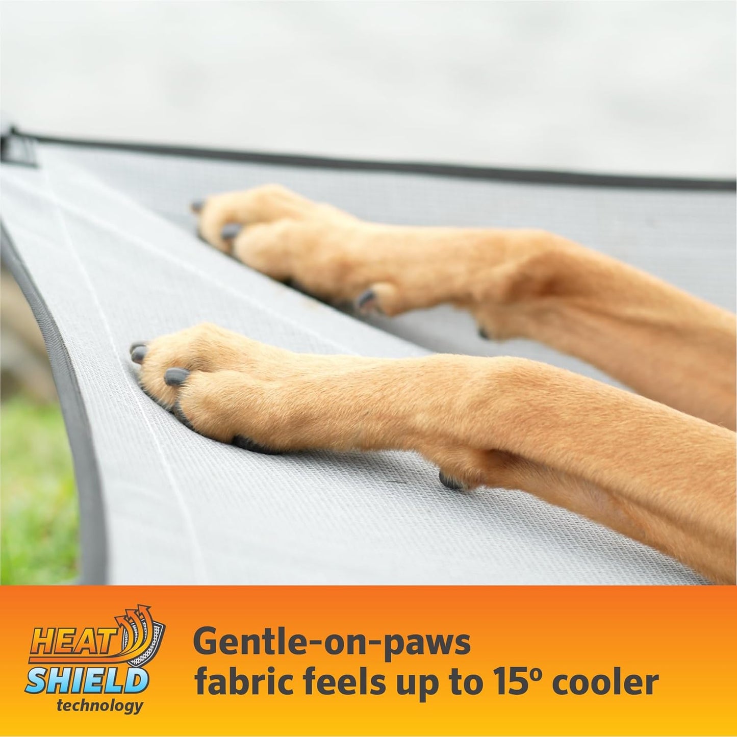 Coolaroo On-The-Go Elevated Dog Bed Kit – Portable & Cooling Travel Cot with HeatShield Fabric for Medium Dogs, Lightweight & Compact, Includes Matching Carry Bag & Everglade Green Bonus Cover, Medium