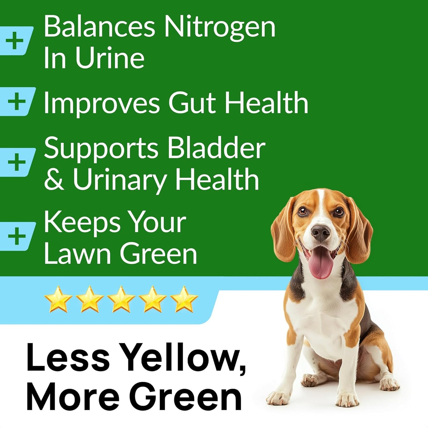 PAWFECTCHEW Green Grass Dog Chews w/Probiotics - Prevent Urine Burning Grass - Dog Pee Grass Spot Saver - Dog Urine Neutralizer for Lawn Treats, UT & Gut Health for Dogs, Lawn Burn from Dog Urine