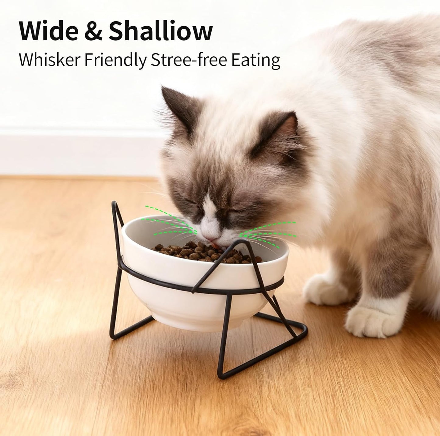 Elevated Cat Food Bowl,Ceramic Raised Water Bowl for Indoor Cats, 15°Tilted Metal Stand Anti Vomiting and Protect Spines,Whisker Fatigue Feeding Dishes,Non-slip and Dishwasher Safe