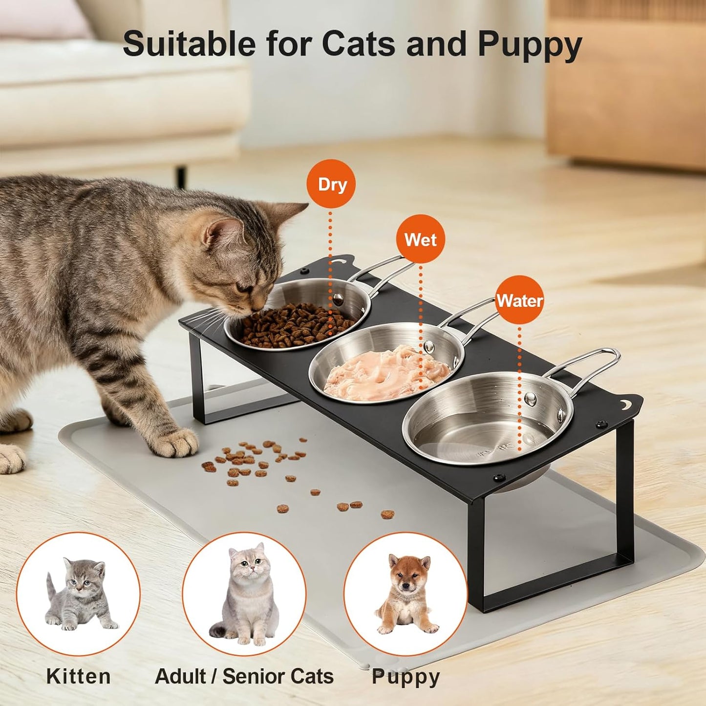 Elevated Cat Bowls with Food Mat, 10°Tilted Non-Slip Raised Cat Food Water Bowls Set, 3 Thick Stainless Steel Pets Dishes with Handles to Indoor Kitten Puppy, Anti-Vomiting Cute Metal Feeding Stand