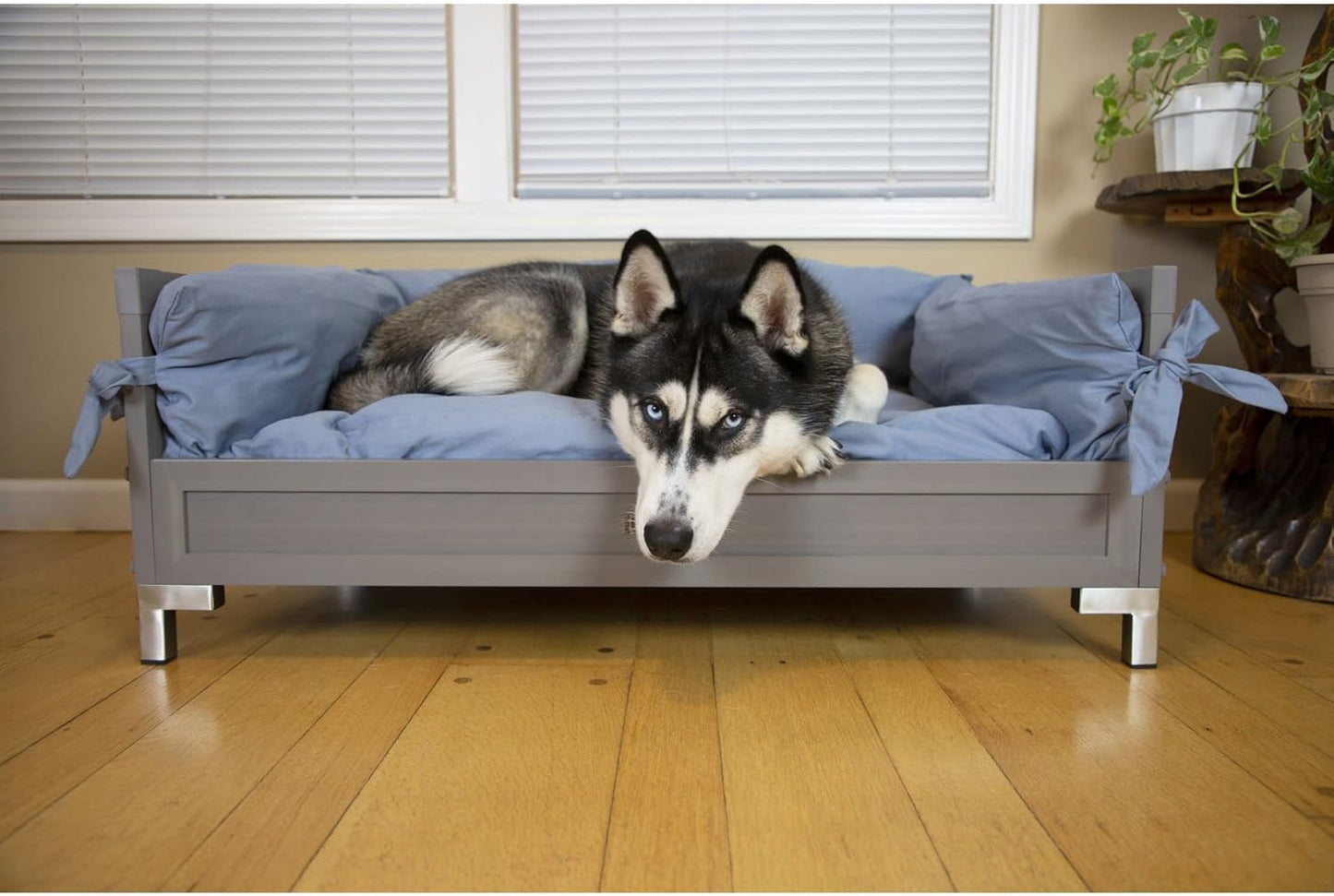 New Age Pet ECOFLEX Manhattan Raised Dog Bed, Moisture Resistant Frame with Stainless Steel Accents, Memory Foam Cushion, Grey, X-Large