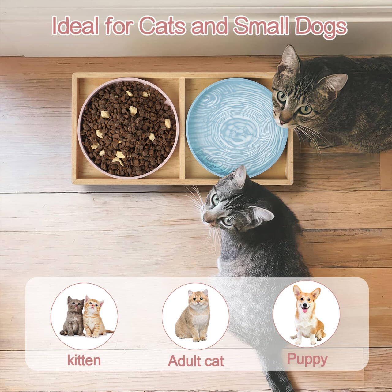 Cat Food and Water Bowl Set, Raised Cat Bowls Elevated for Indoor 7" Wide Puppy Plates Anti Whisker Fatigue Pet Feeding Dishes,Pet Feeding Station for Cats & Small Dogs (2Shallow Dish+Stand)