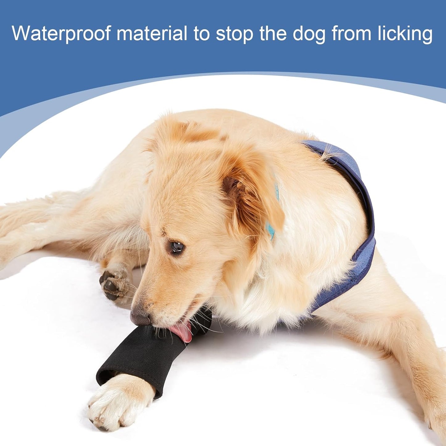 Coodeo Dog Recovery Suit, Cone Collar Alternative, Abrasion Resistant Dog Recovery Sleeve, Washable 2.5mm Thick and Waterproof, Pet Wounds Prevent Licking, Bite, Keep Dry（Blue，L