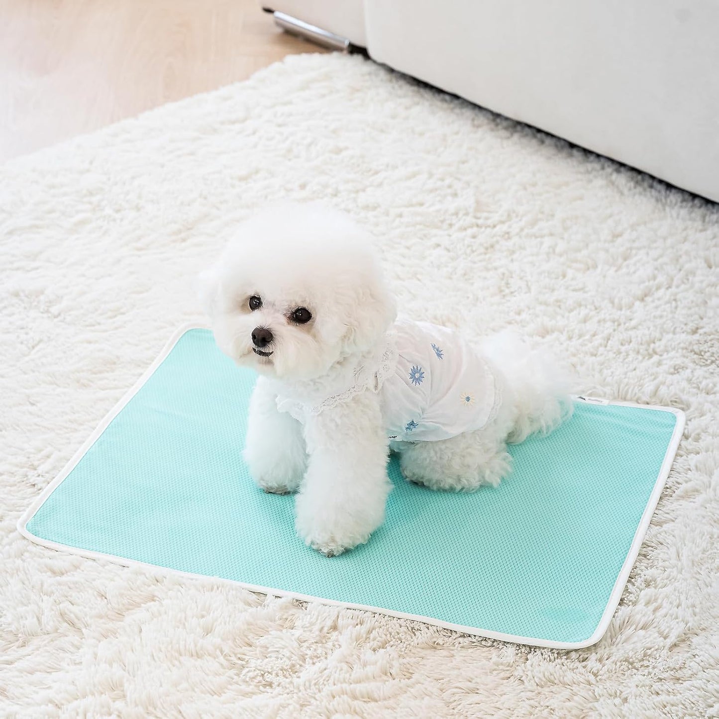 Eco Pad: Washable & Reusable Dog Pee Pad - Zero Trash, Superior Absorbency, Odor Control, Non-Slip, Perfect Waterproofing - Eco-Friendly Solution Ivory (M, 1)