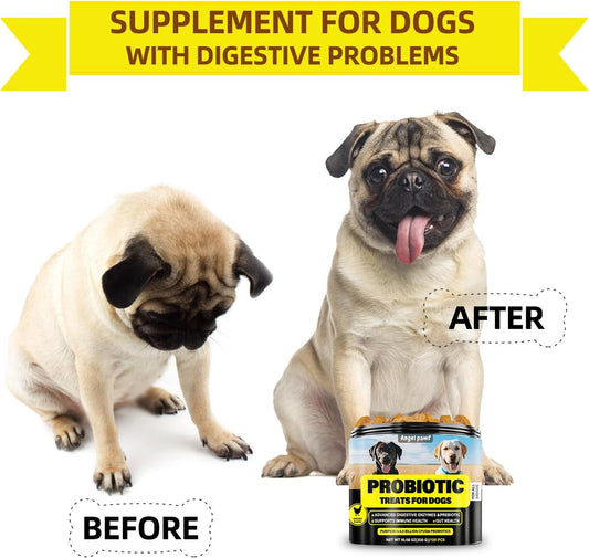 Probiotics for Dogs - Grain Free Digestive Support for Gut Health & Skin Comfort - Delicious Soft Treats with Prebiotics for Puppy, Adult & Senior Dog