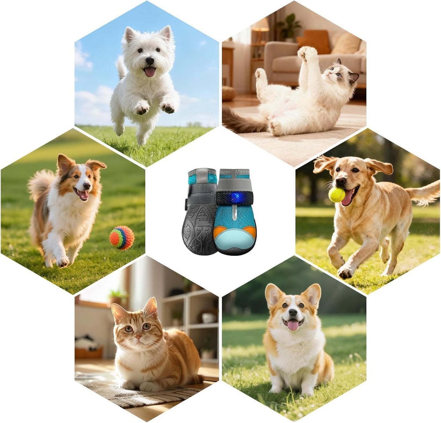 Glowing Dog Shoe Set - Rechargeable Puppy Booties | Non Slip Cat Paw Protectors for Small Pets, LED Night Safety Shoes, Summer Pavement Guard, Lightweight Outdoor Training Gear