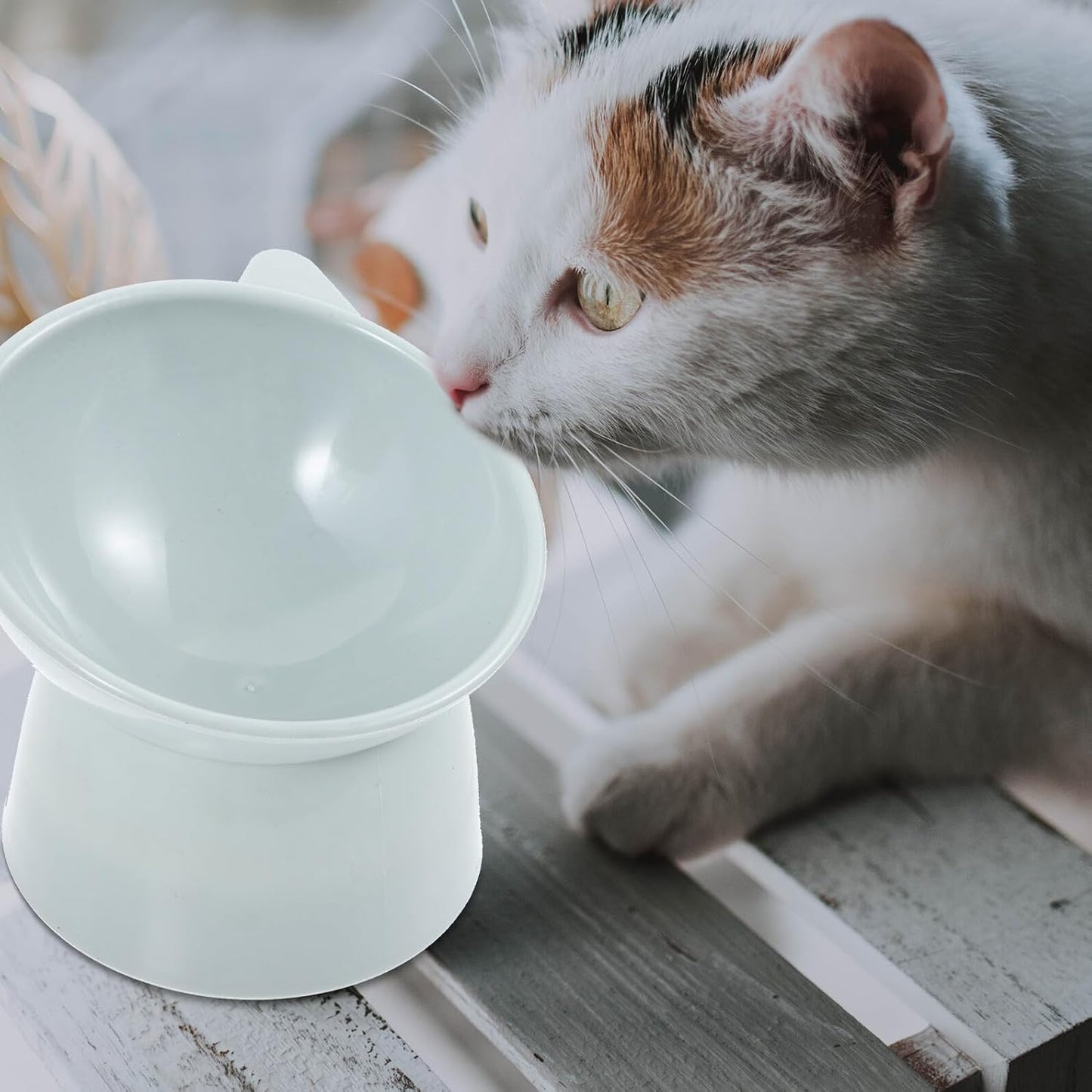 Raised Cat Food Bowl Ergonomic Design Elevated Plastic Cat Feeding Bowl with Neck Protection Slow Feeder Shallow Dish Grey