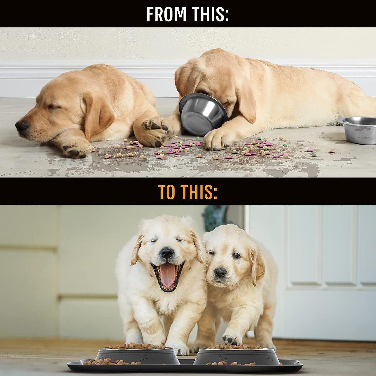 Active Pets Dog Bowl Set, Stainless Steel No Spill Mess-Proof Food & Water Food Bowls with Skid Resistant Silicone Mat, Dog Bowls Small Size Dog, Medium, & Large, Pet Puppy Bowls & Dishes