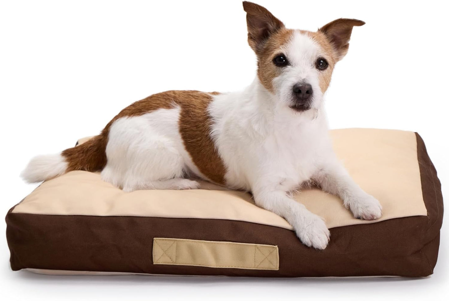Rawry Orthopedic Dog Bed | Memory Foam Dog Bed with Handle | Water-Resistant, Machine Washable Cover | Floor Cushion for Cats, Dogs & People - Tan/Brown (Small - 24" x 18")