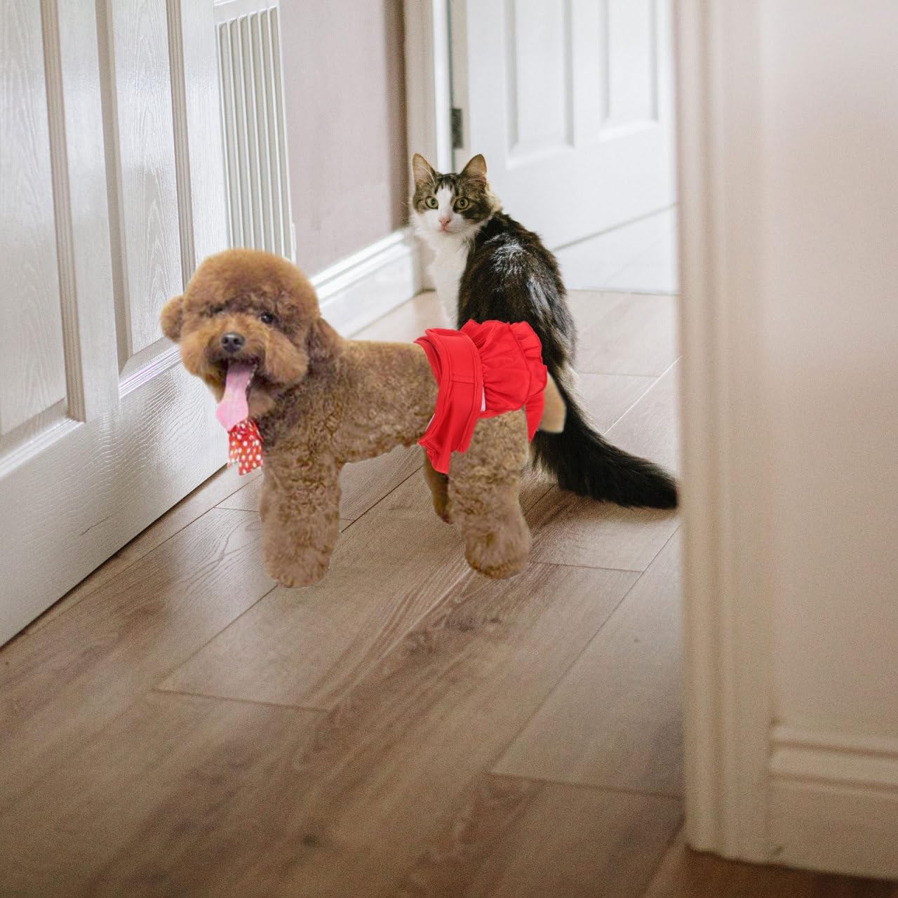 Toyvian Dog Sanitary Panties Washable Female Dog Diapers Leakproof Design Comfortable Period Pants for Girl Dogs Reusable Doggie Pants for Menstruation and Accidents