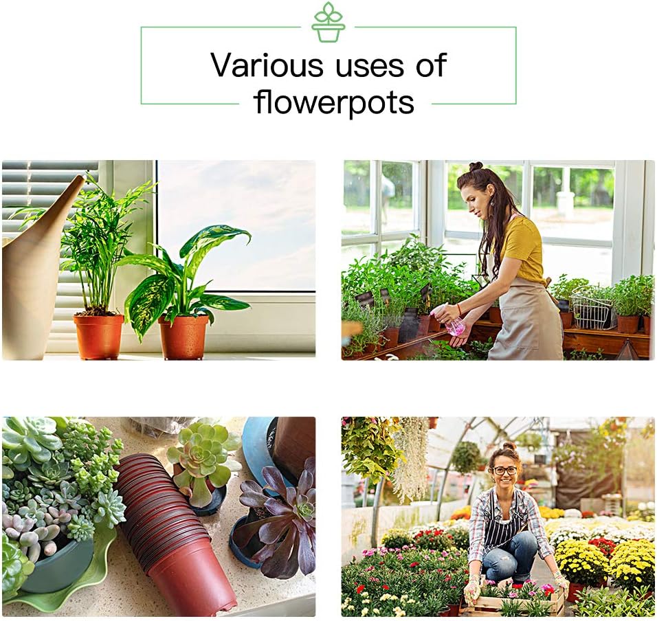 JERIA 100-Pack 6 Inch Plastic Nursery Pots Come with 100 Pcs Labels, Seedling Flower Plant Container and Seed Starting Pots
