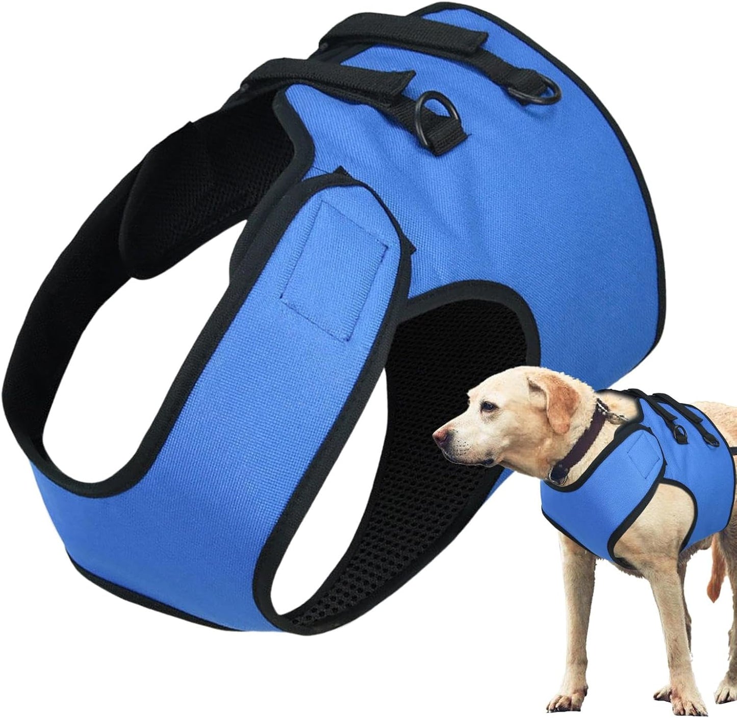 Dog Lift Harness, Puppy Mobility Support, Dog Walking Harness, Stair Assistance Dog Lift Support, Pet Front Leg Lift, Adjustable Dog Lift for Helping Your Puppy Walk Stand, Go up and Down Stairs