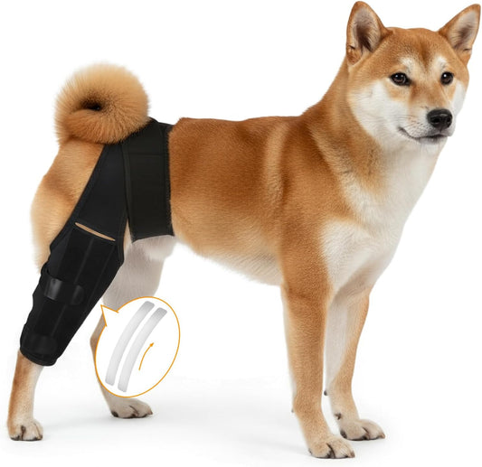 Dog Knee Brace for Hind Leg – Adjustable Rear Leg Support with 2 PP Resin Bars, Helps Torn ACL, Ligament Injuries, Luxating Patella & Hip Dysplasia Recovery for Left/Right Hind Leg (S)