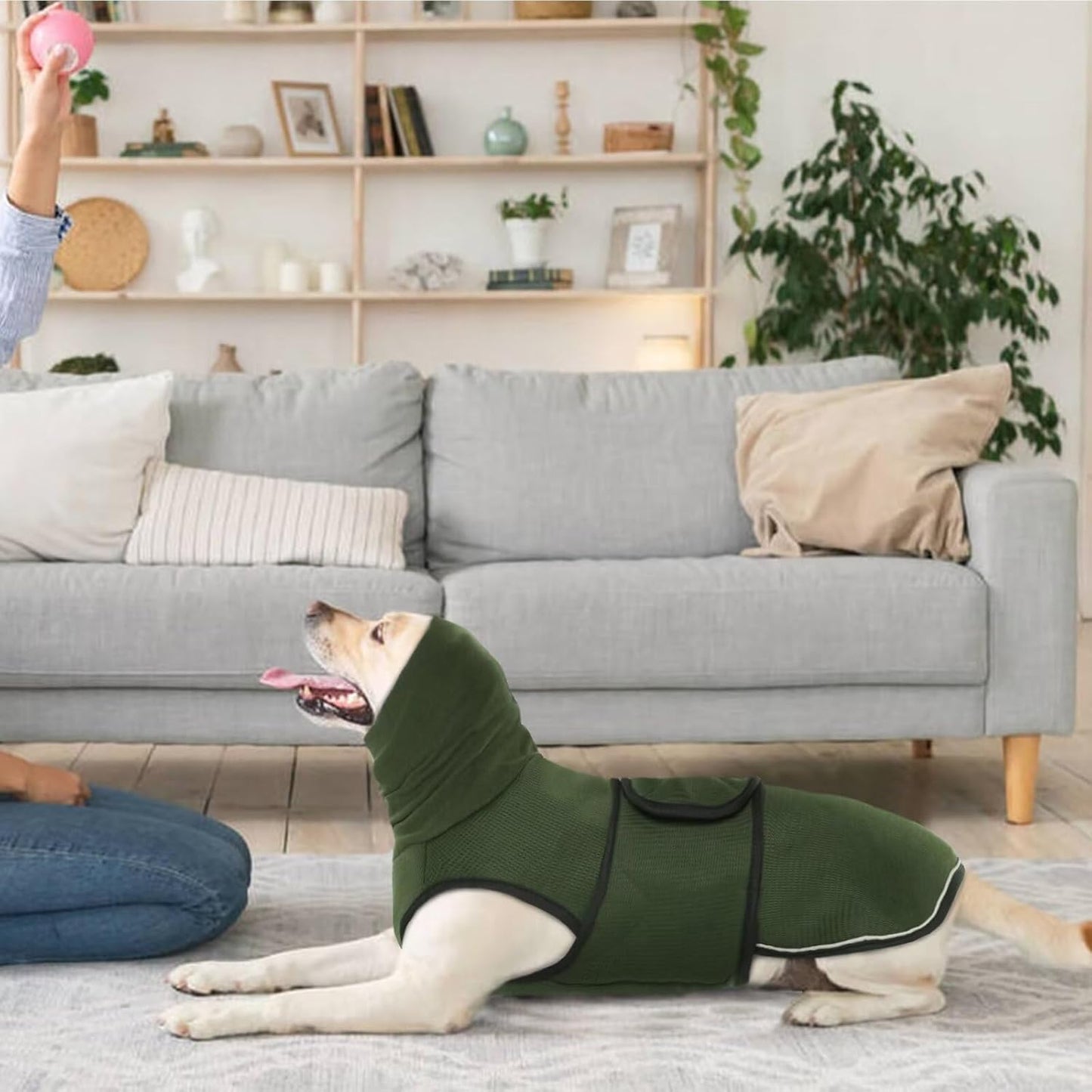 IDOMIK Dog Anxiety Calming Hoodie, Breathable Dog Jacket Vest for Thunderstorms, Fireworks, Vet Visits, Separation, Adjustable Noise Block & Ear Protection Recovery, Green, M