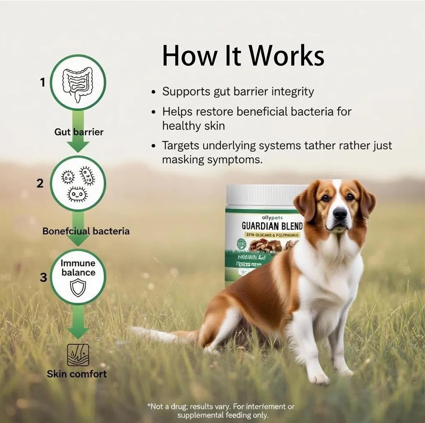 Ollypets Guardian Blend – 11-Mushroom Daily Support Powder for Dogs | Promotes Healthy Skin, Coat & Immune Function | Natural Formula, Bacon Flavor, Mixes Easily with Food