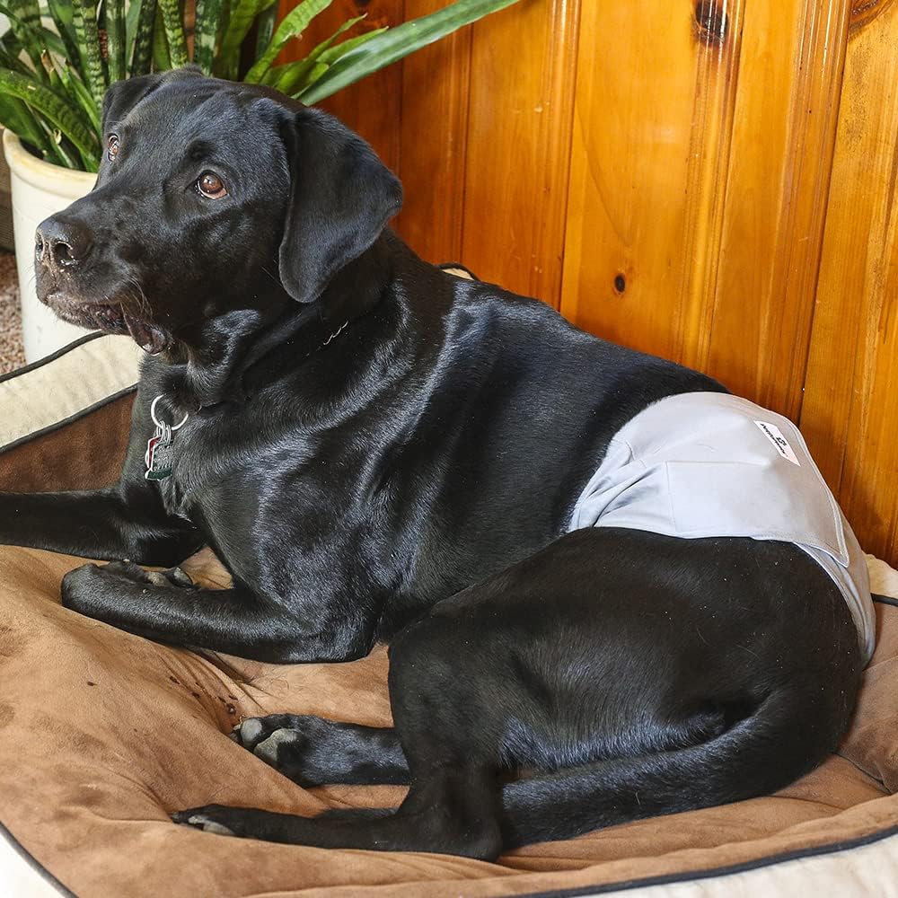 Pet Parents® Washable Belly Bands for Male Dogs (3pack) + Extendrs® of Durable Dog Diapers Male, Premium Male Dog Diapers & Dog Wraps (Small, Natural)