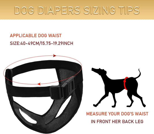 BLMHTWO 2PCS Dog Pants Dog Nappies, Dogs Period Pants with 6PCS Washable Female Dogs Season Pants Adjustable Protective Trousers for Female Puppy in Heat Monthly, Black, Blue