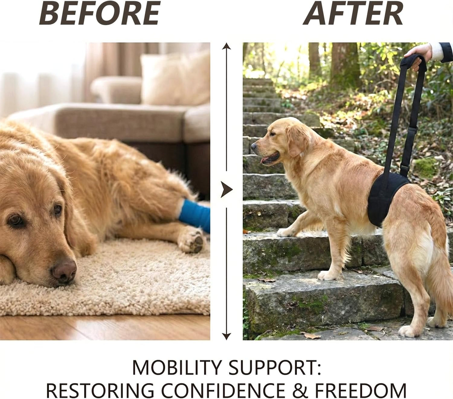 Dog Lift Harness for Rear Legs, Adjustable Dog Support Sling with Soft Padding, Hind Leg & Hip Support for Walking, Stairs & Recovery, Mobility Aid for Senior Dogs (S)