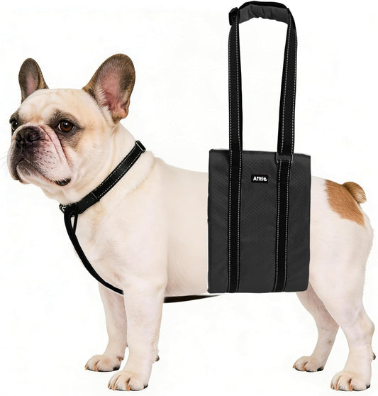 AIITLE Dog Slings for Small Dogs - Adjustable Reflective Dog Lift Harness with Anti-Slip Collar for Senior Dogs, Hind Leg Weakness, Hip Dysplasia, ACL Surgery (Black, S)