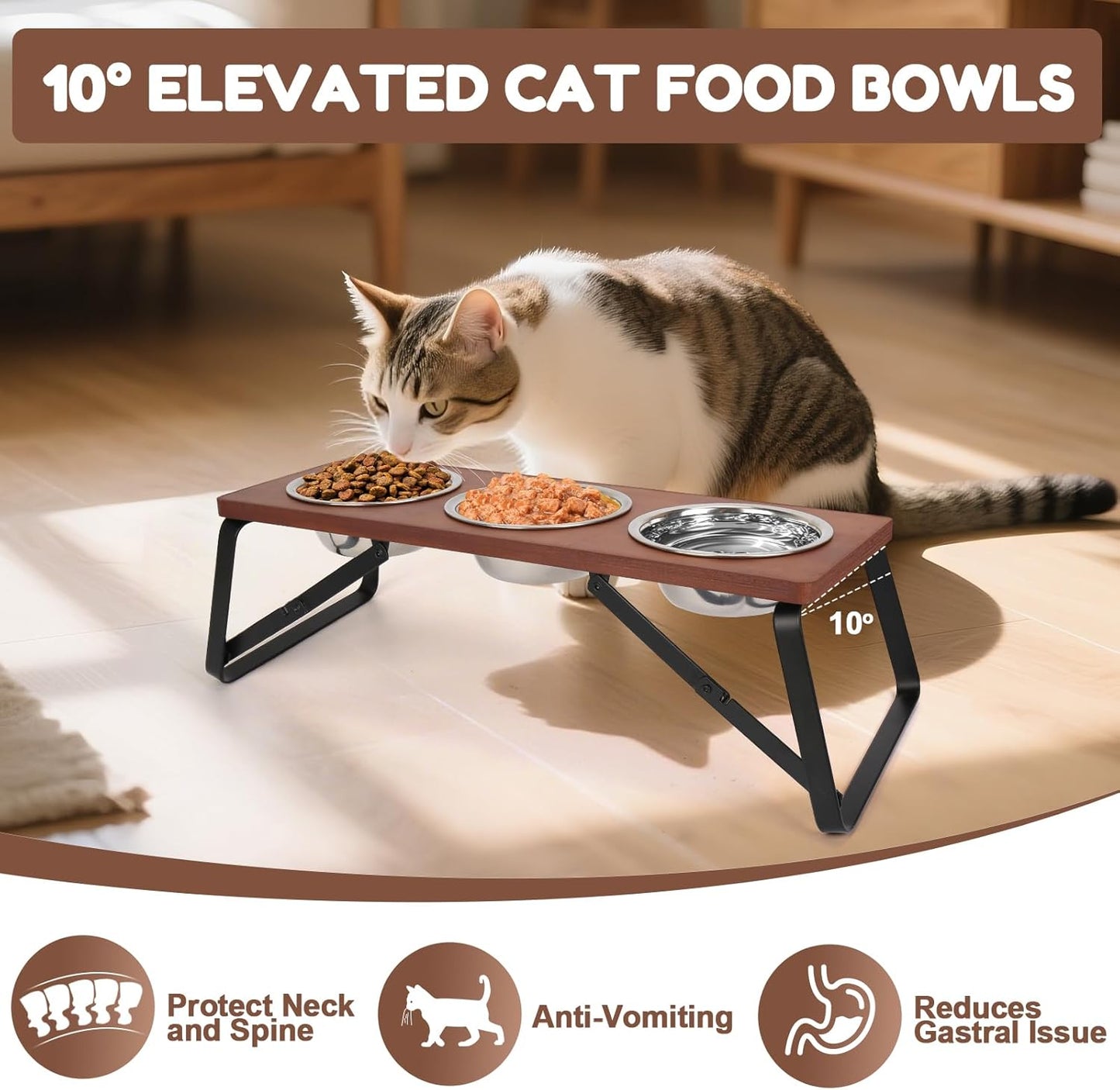 Elevated Cat Bowls, 10° Tilted Stand Anti Vomiting Raise Cat Bowl for Food and Water, 3 Stainless Steel Bowls for Indoor Cats, Kitten and Puppy