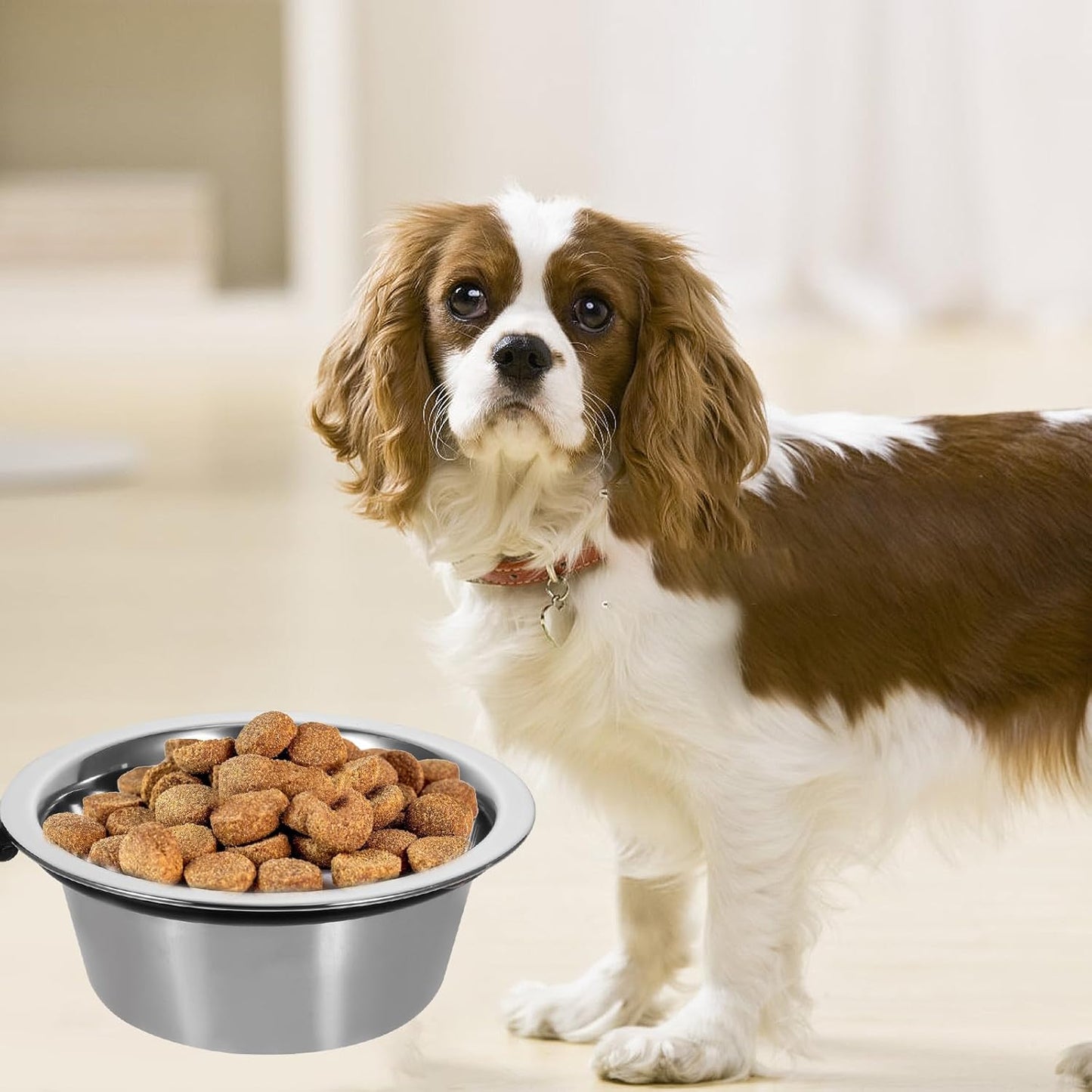 Raised Dog Bowl and Wall-Mounted Pet Feeding Dish, Stainless Steel Elevated Food and Water Bowl, 8-inch, Suitable for Large Dogs and Convenient Home Use