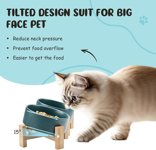 SPUNKYJUNKY 15° Slanted Ceramic Dog and Cat Bowl with Wooden Stand, Tilted Bulldog Food and Water Bowl No Slip Non-Spill for Cats Medium Dogs Big Face Pets 13.5 OZ (1.7 Cups, Green × 2)