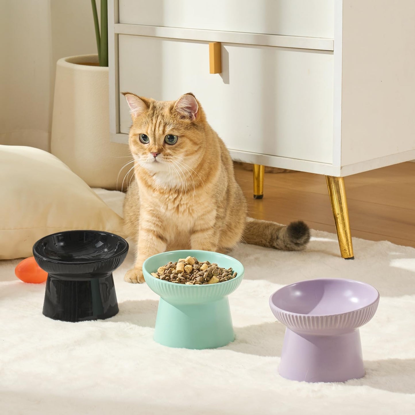 Ceramic Elevated Cat Bowls-Water Bowl, 15° Tilted Design, Anti-Vomiting & Spine Protection, Prevent Whisker Fatigue for Kittens to Adult Cats and Small Dogs (Purple-Elevated Cat Bowls-2)