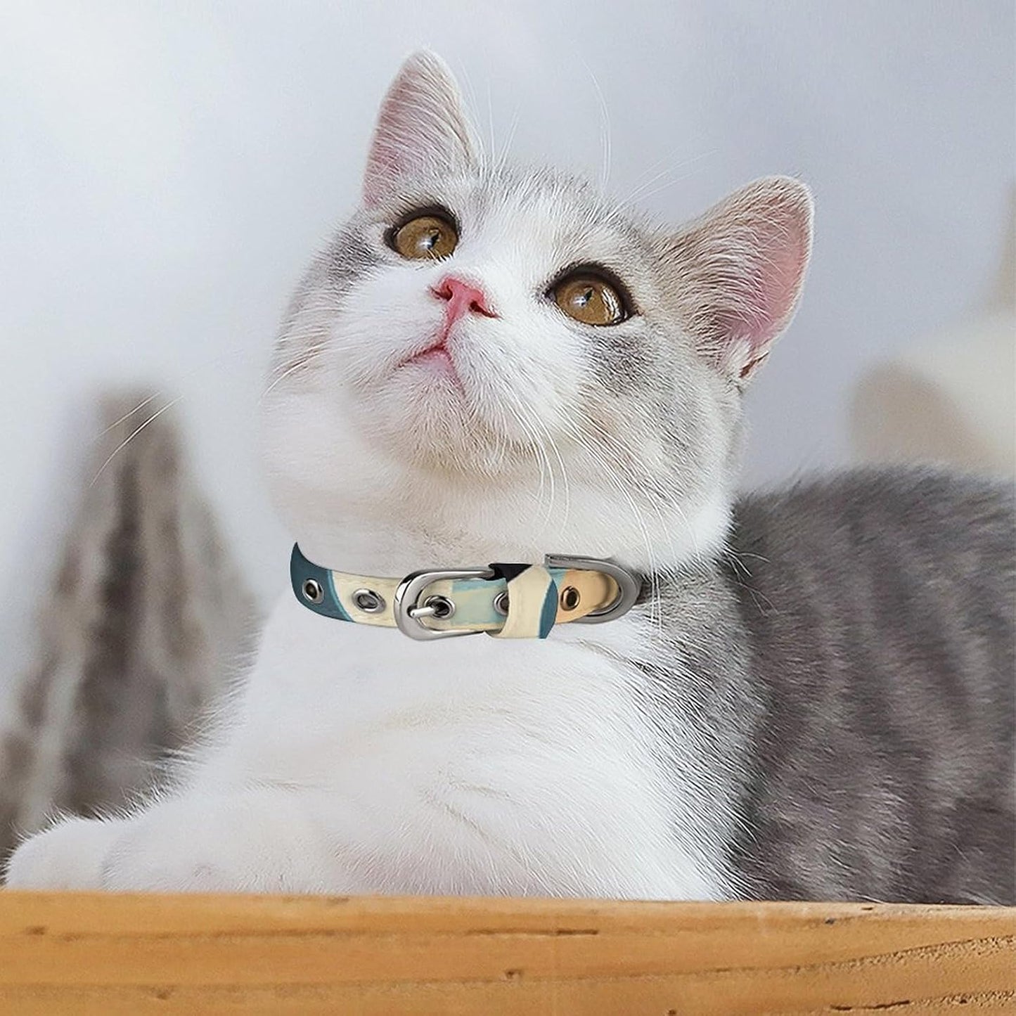 Orca in The Sea Dog Collar with Buckle Adjustable Martingale Pet Collars Cute Female Male Puppy Collar Soft Waterproof Cat Collars for Small Medium Dogs