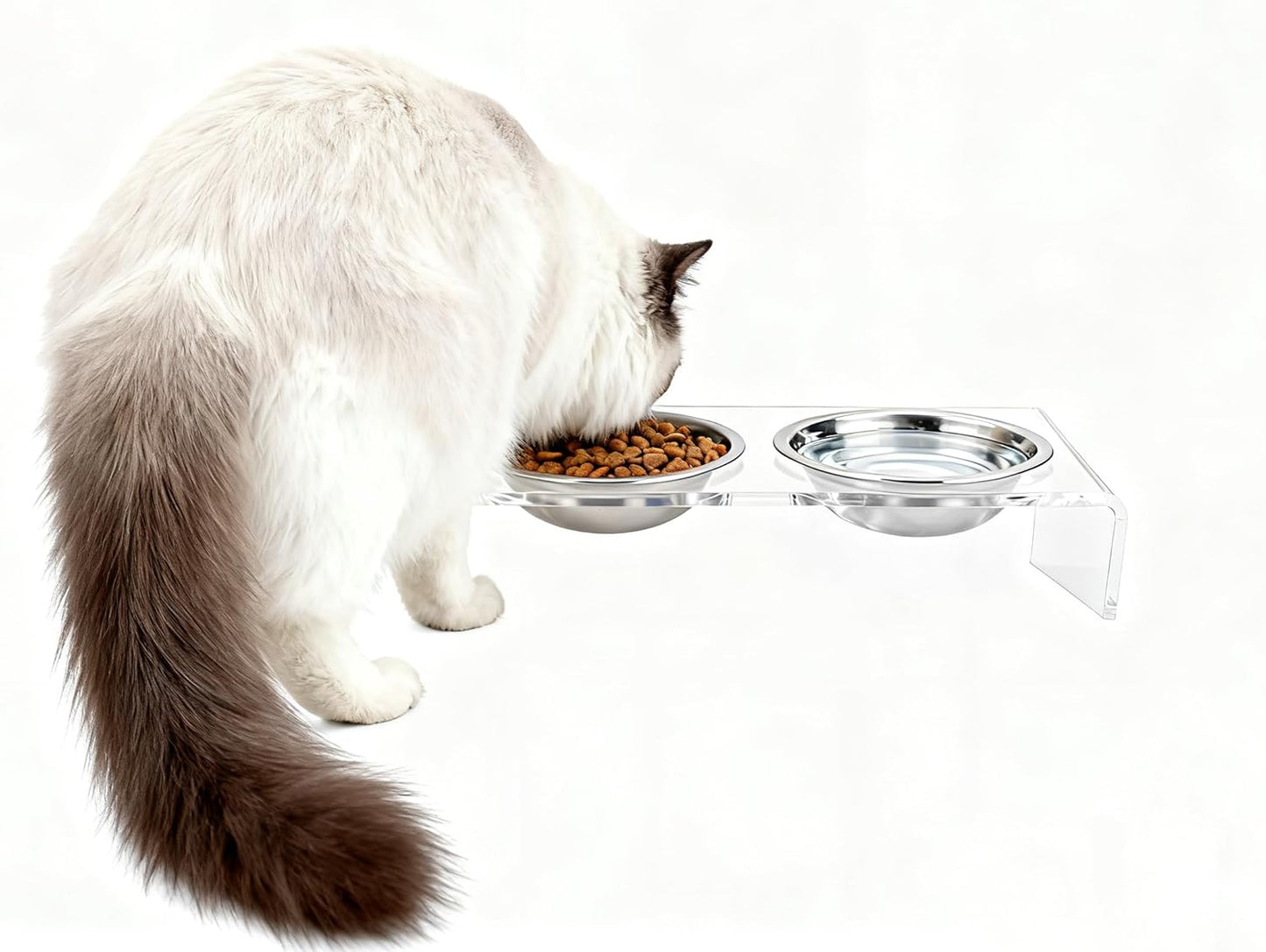 Elevated Cat & Dog Bowls Stand with 2 Stainless Steel Dishes, 【12° Tilt & 4.5in Height】 Acrylic Pet Feeder for Easier Swallowing & Comfort, Anti-Slip Food Water Bowl Holder for Medium Cat/Dog