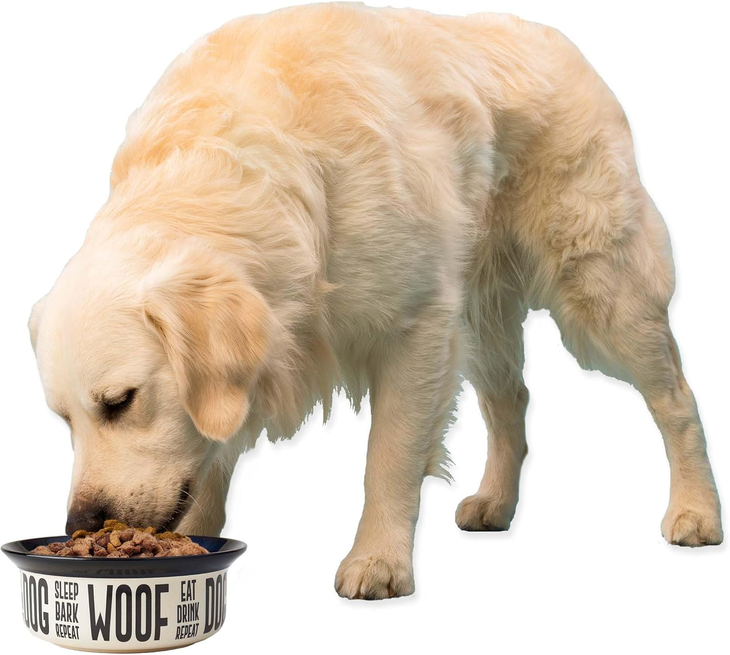 PetRageous 17001 Eat Drink Repeat Two-Tone Stoneware Dishwasher Safe Dog Bowl 4-Cup 8.18-Inch Diameter 3-Inch Tall for Medium and Large Dogs and Cats, Off-White, (Pack of 1)