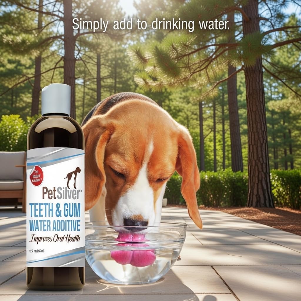 PetSilver Teeth & Gum Water Additive for Dental Care - Pet Breath Freshener - Targets Tartar, Plaque & Eliminates Bad Breath - Dog Oral Care & Cat Teeth Cleaning - No Brushing & Tasteless - 12 fl oz