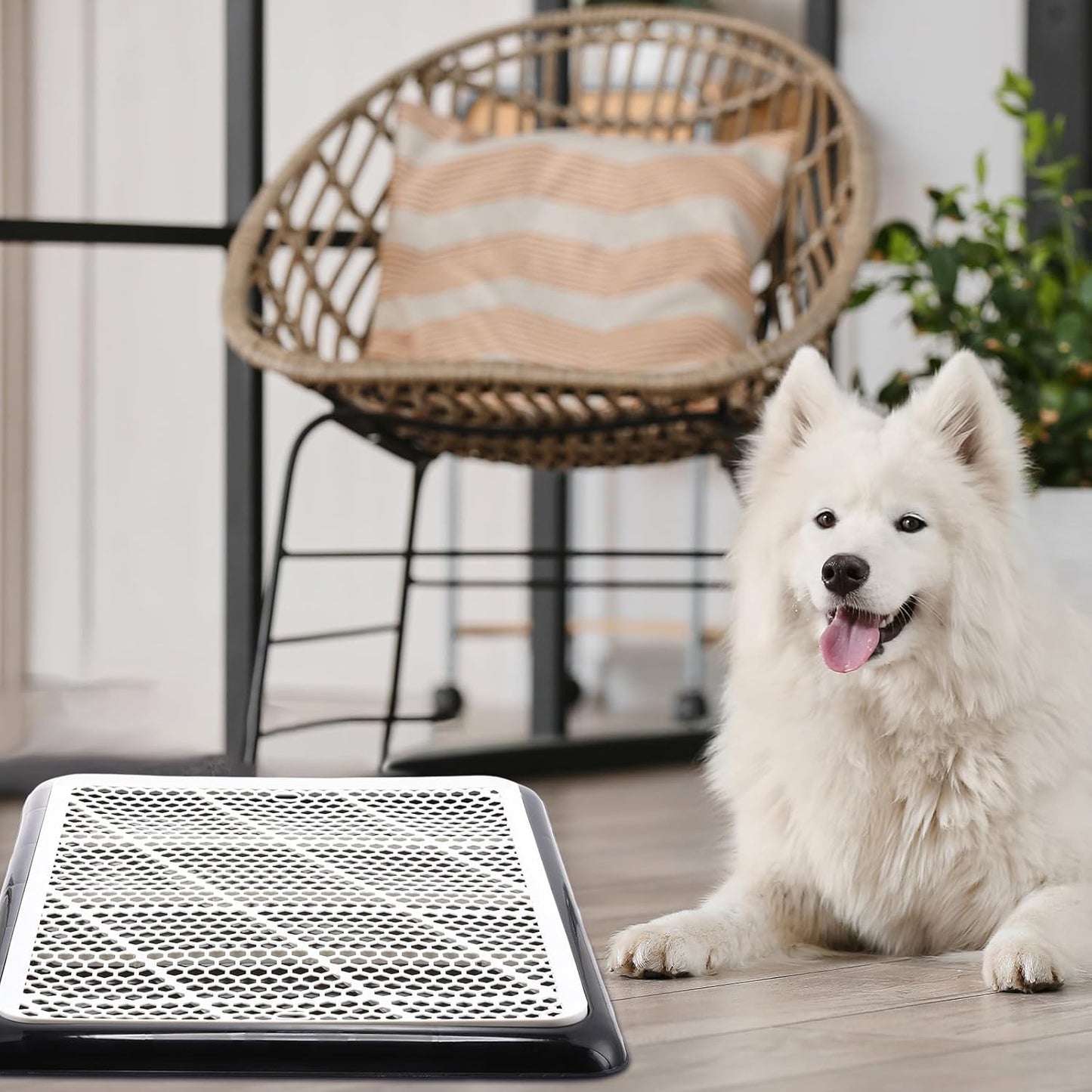 Mifoci Dog Pee Pad Holder Potty Tray Portable Dog Litter Box Toilet Training for Indoor Outdoor Small Medium Large Pet Puppy(1 Pcs,Black)