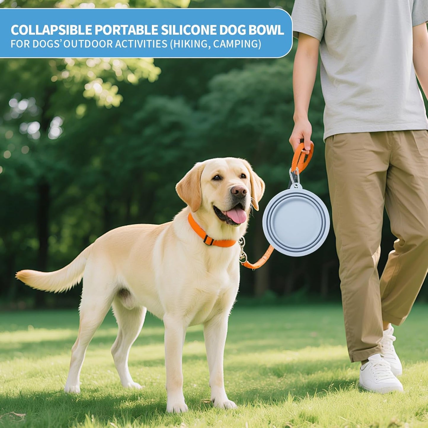 SLSON Collapsible Dog Bowl, 2Pack Macaron Color Pet Travel Bowls Silicone Foldable Water Feeder Dish for Small to Large Dogs Cat Walking Hiking Camping (Macaron Blue and Light Grey, Large)