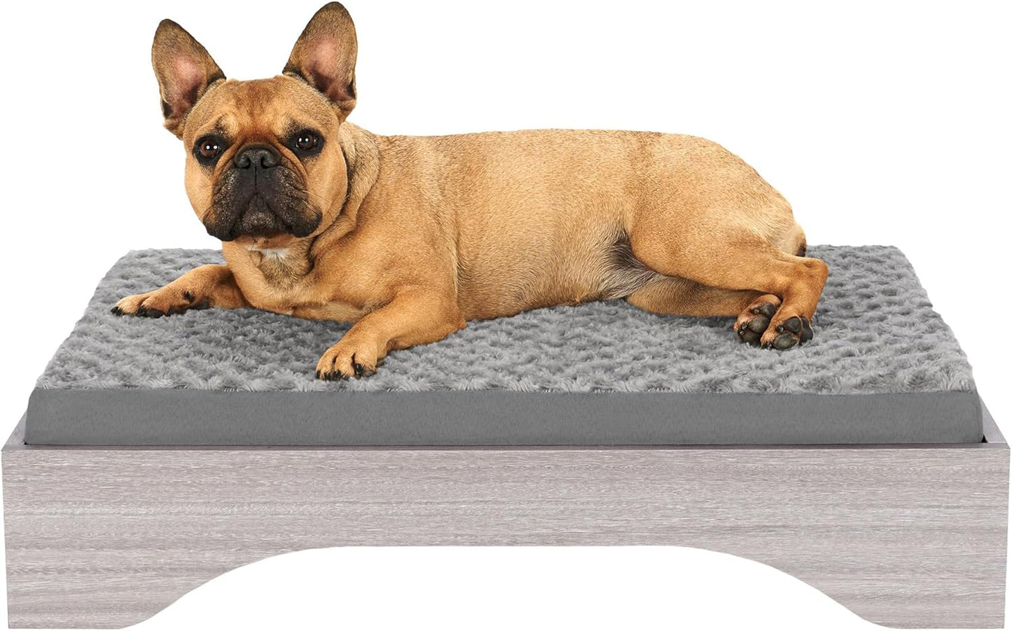 FurHaven Elevated Dog Bed for Medium Dogs, Mid-Century Modern Style with Flexible Slats & Non-Slip Pads for Comfort & Airflow, Easy Assembly, Raised Pet Bed, Medium, Light Gray