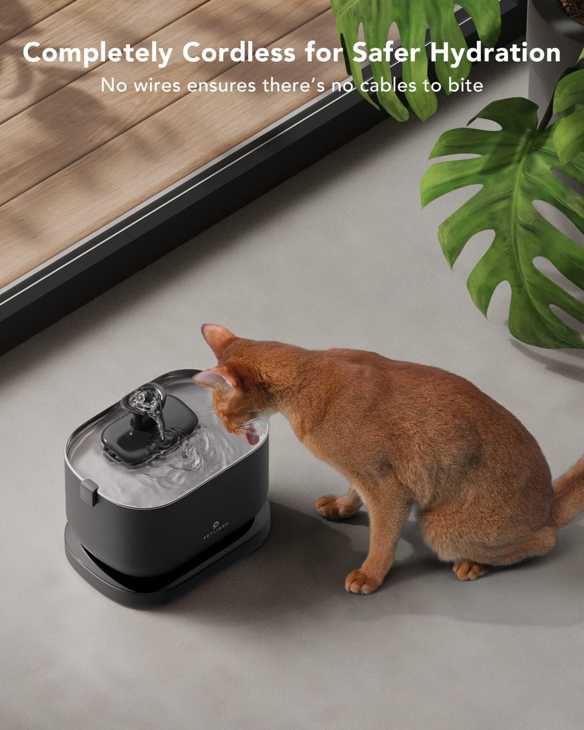PETLIBRO 5L Wi-Fi Automatic Cat & Dog Feeder Low-Food Sensor, Freshness Preservation with APP + 2.5L Cordless Smart Cat Water Fountain with Battery Operated, Stainless Steel Tray, BPA-Free, Easy-Clean