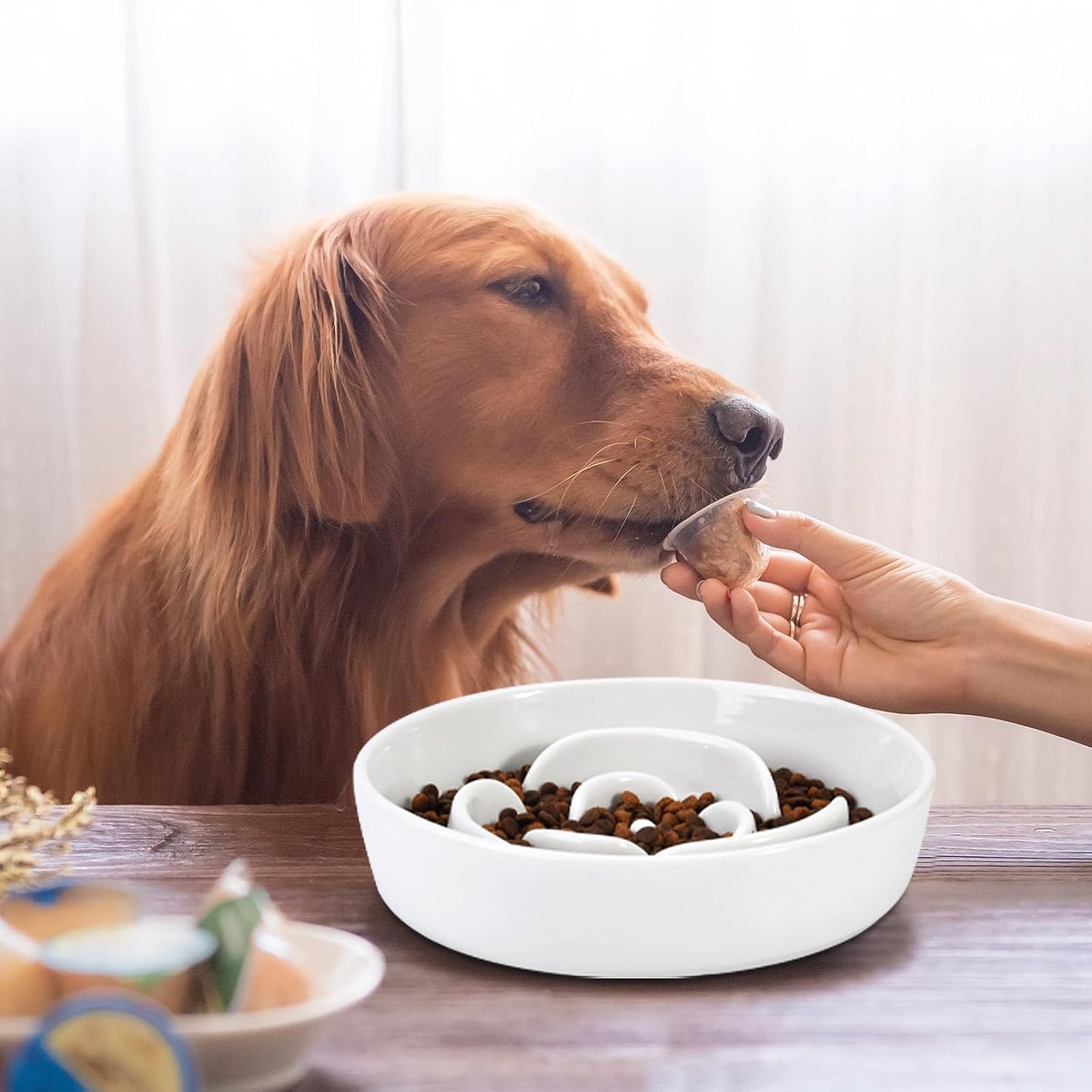 Slow Feeder Dog Bowls, 7.6inch Ceramic Dog Bowls, Fun Slow Eater Bowl for Small Medium Breed, Maze Puppy Slow Feeder for Fast Eaters to Control Eating, White