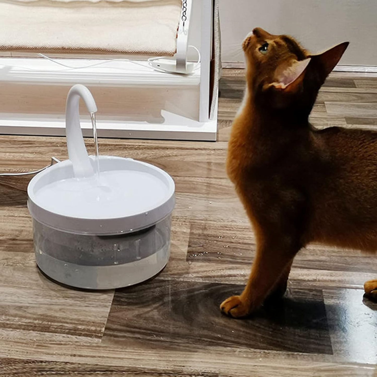 Cat Water Fountain, Automatic Pet Water Fountain with Faucet, Birds Shower Dog Water Drinking Dispenser with LED Indicator for Cats Dogs Small Animals,White