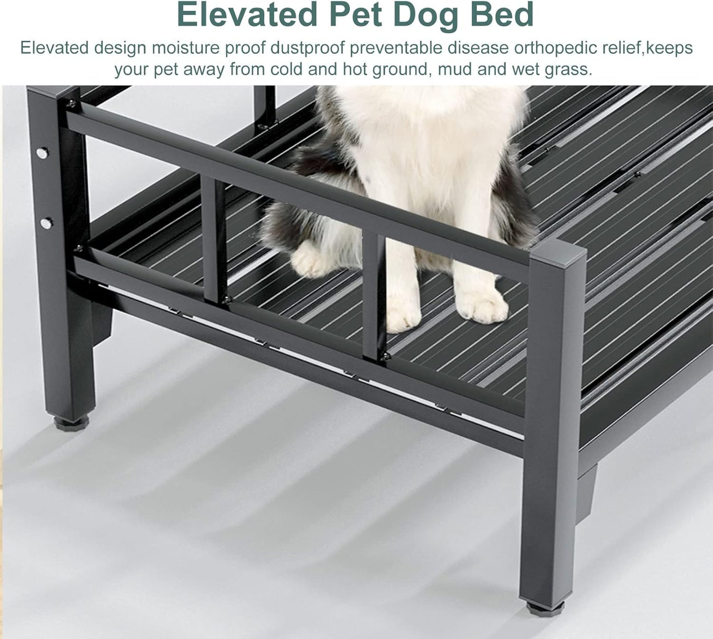 Pet Bed Metal Elevated Dogs Couch Sofa, Lightweight Portable Raised Pets Cot for Large ＆ Older Dog, Indoor Outdoor Orthopedic Joint Relief Pet Bed (Size : M-80x50cm/31.5x19.7in) ()