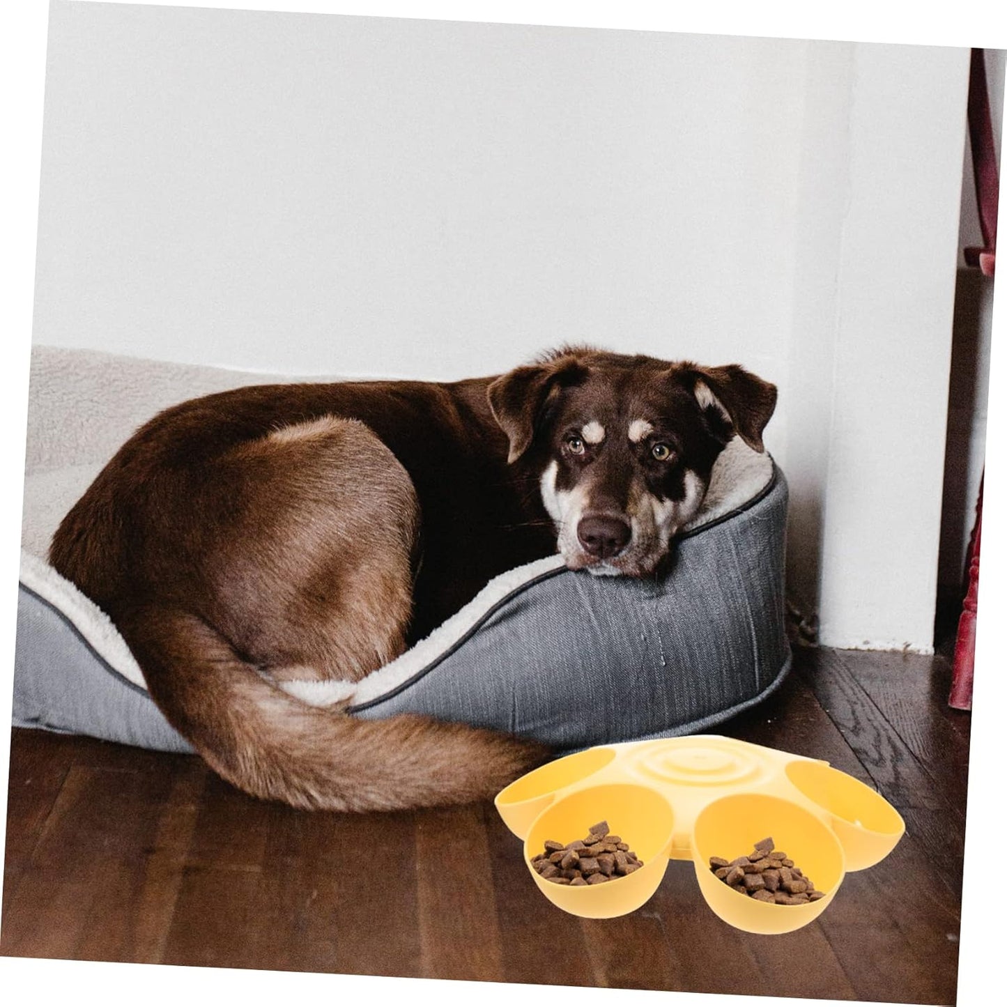 Pet Feeding Bowl Feeders Cat Bowls for Food and Water Indoor Water Fountains Food Dispenser Eating Station for Cats Puppy Bowls Dog Travel Round Plastic Supplies