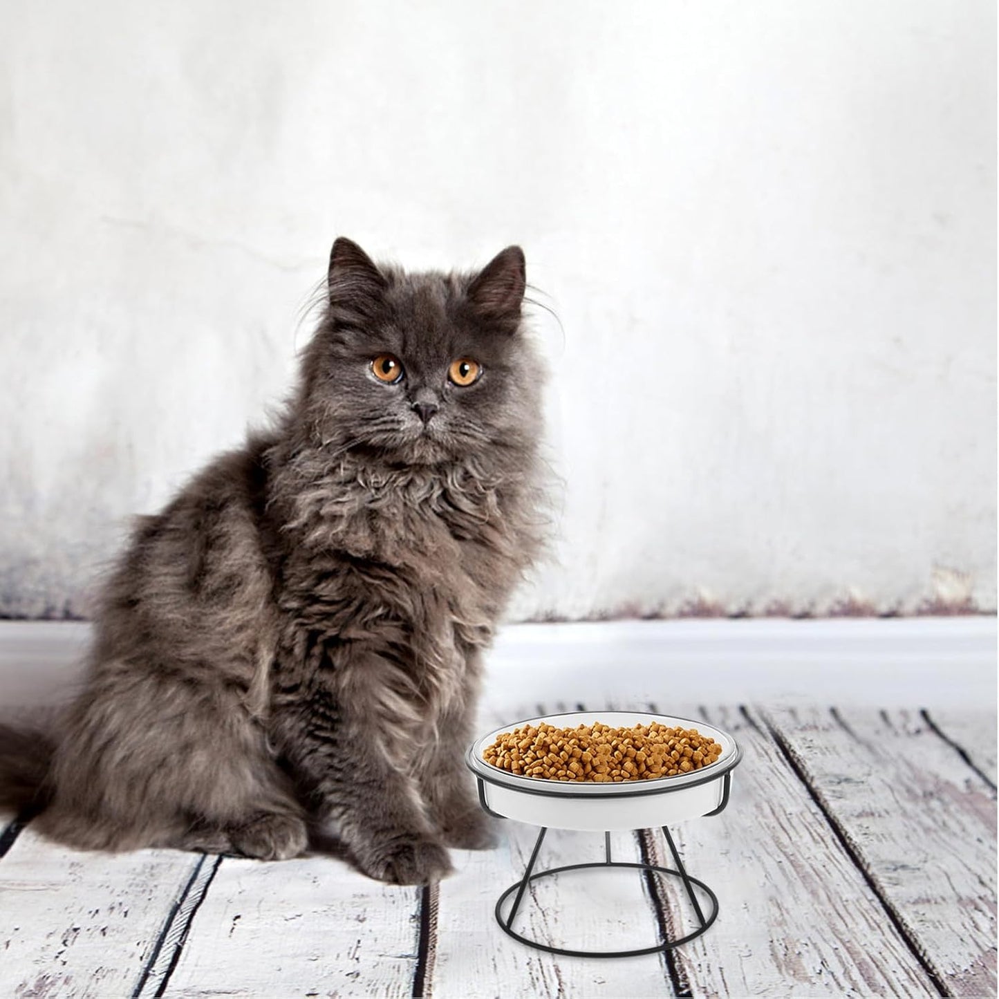 Milisten Elevated Ceramic Cat Bowl and Dog Bowl Slow Feeder with Iron Stand Raised Pet Feeding Station for Small Dogs and Cats to Promote Slow Eating and Spine Protection, Black