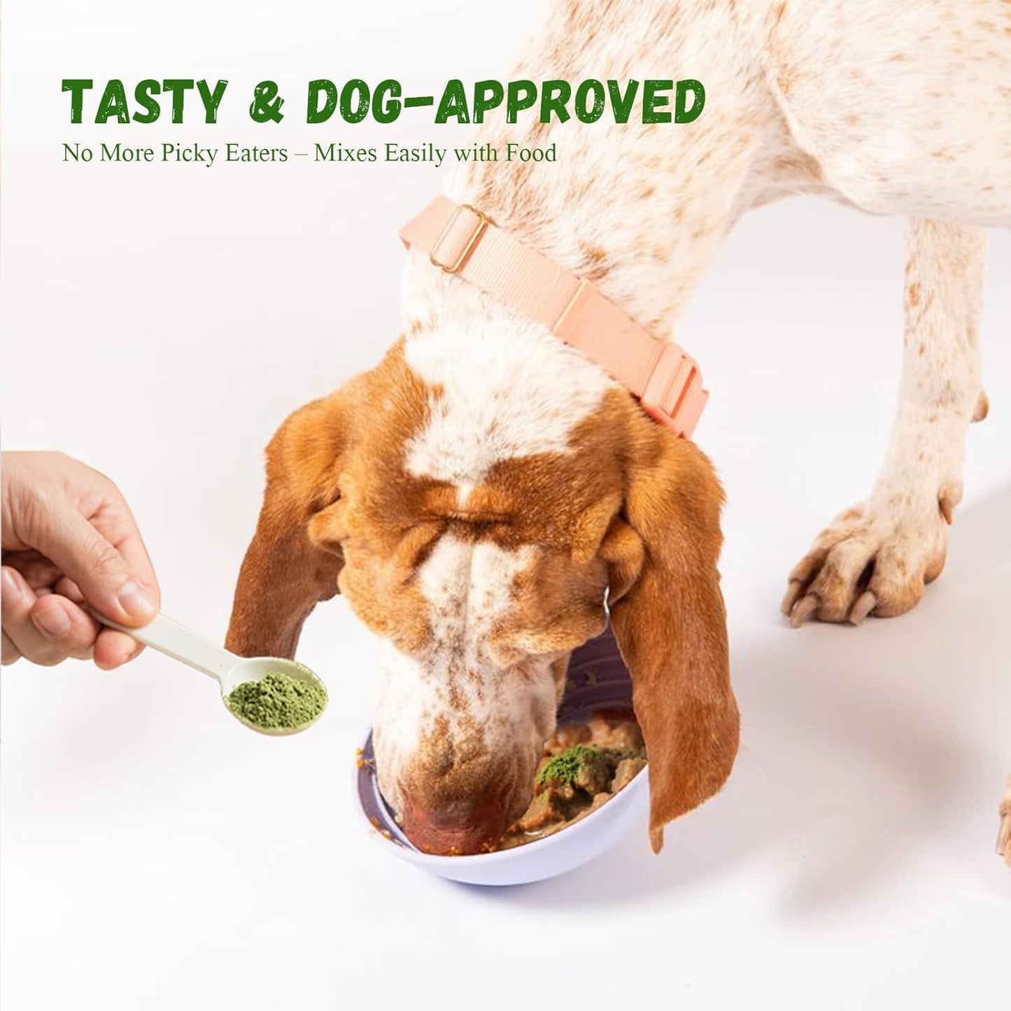Dog Teeth Cleaning Powder, Dog Dental Powder for Teeth Cleaning and Dog Breath Fresh for Dogs with Probiotic & Tartar Remover, Plaque Off Dog Tooth Cleaning 150g