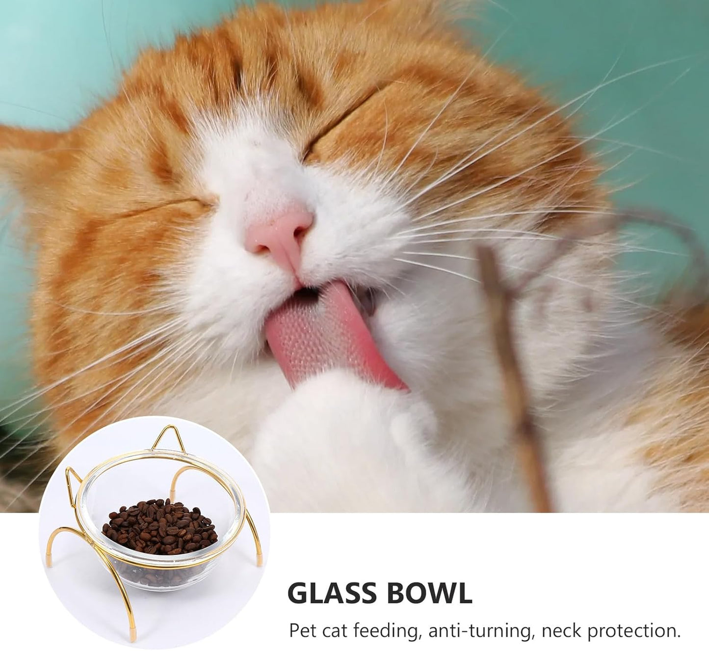 FAVOMOTO Raised Cat Food Bowl and Water Feeder Set with Neck Protection, Slant Design, Single Iron Frame and Bowl for Kitten Feeding